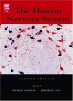 The human nervous system