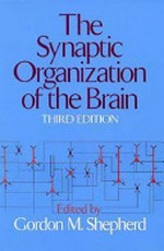 The synaptic organization of the brain