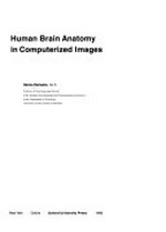 Human brain anatomy in computerized images