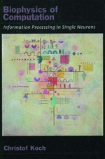 Biophysics of computation: information processing in single neurons