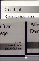 Cerebral reorganization of function after brain damage