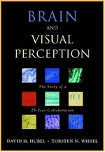 Brain and visual perception: the story of a 25-year collaboration