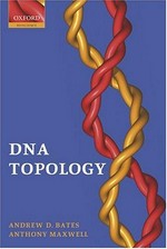 DNA topology