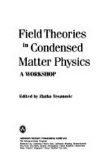 Field theories in condensed matter physics: a workshop