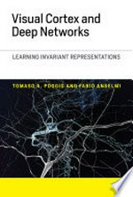 Visual cortex and deep networks: learning invariant representations