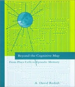 Beyond the cognitive map: from place cells to episodic memory