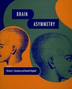 Brain asymmetry