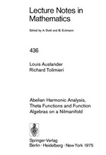 Abelian harmonic analysis, theta functions, and function algebra on a nilmanifold