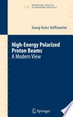 High-Energy Polarized Proton Beams: A Modern View