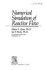 Numerical simulation of reactive flow /