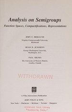 Analysis on semigroups: function spaces, compactifications, representations 