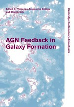 AGN feedback in galaxy formation: proceedings of the workshop held in Vulcano, Italy, May 18--22, 2008 