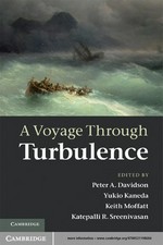A voyage through turbulence