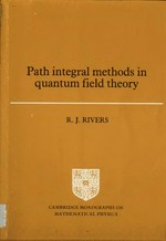 Path integral methods in quantum field theory