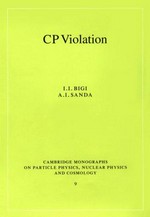 CP violation