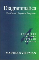 Diagrammatica: the path to Feynman rules