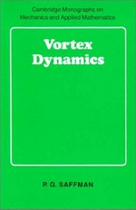 Vortex dynamics
