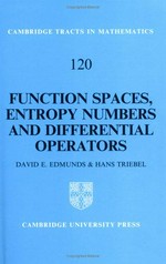 Function spaces, entropy numbers and differential operators