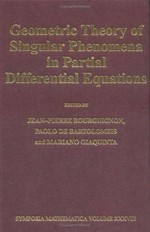 Geometric theory of singular phenomena in partial differential equations [proceedings of the workshop held in] Cortona 1995
