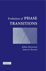 Evolution of phase transitions: a continuum theory /