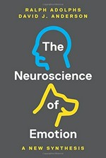 The neuroscience of emotion: a new synthesis