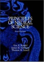 Principles of neural science 