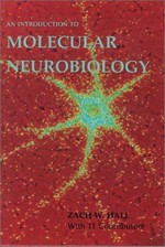 An introduction to molecular neurobiology