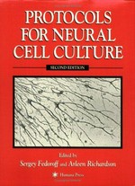 Protocols for neural cell culture