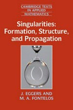Singularities: formation, structure, and propagation