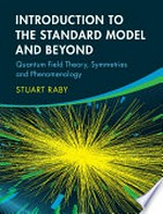 Introduction to the standard model and beyond: quantum field theory, symmetries and phenomenology