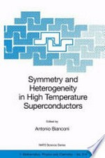 Symmetry and Heterogeneity in High Temperature Superconductors: Proceedings of the NATO Advanced Study Research. Workshop on Symmetry and Heterogeneity in High Temperature Superconductors Erice, Sicily, Italy October 4-10, 2003