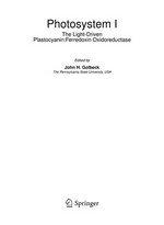 Photosystem I: The Light-Driven Plastocyanin:Ferredoxin Oxidoreductase 