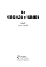 The neurobiology of olfaction