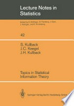 Topics in Statistical Information Theory