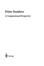 Prime Numbers: A Computational Perspective 
