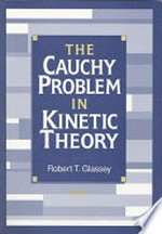 The Cauchy problem in kinetic theory