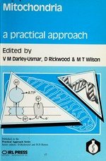 Mitochondria: a practical approach /