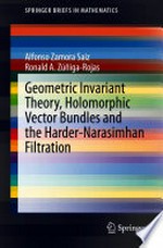 Geometric Invariant Theory, Holomorphic Vector Bundles and the Harder-Narasimhan Filtration