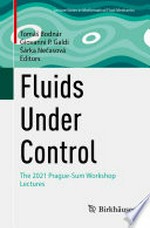 Fluids Under Control: The 2021 Prague-Sum Workshop Lectures /