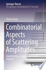 Combinatorial Aspects of Scattering Amplitudes: Amplituhedra, T-duality, and Cluster Algebras /