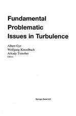 Fundamental Problematic Issues in Turbulence
