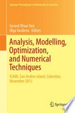 Analysis, Modelling, Optimization, and Numerical Techniques: ICAMI, San Andres Island, Colombia, November 2013 
