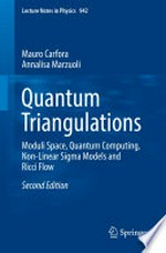 Quantum Triangulations: Moduli Space, Quantum Computing, Non-Linear Sigma Models and Ricci Flow