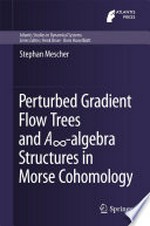 Perturbed Gradient Flow Trees and A∞-algebra Structures in Morse Cohomology