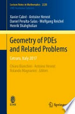 Geometry of PDEs and Related Problems: Cetraro, Italy 2017