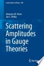 Scattering Amplitudes in Gauge Theories