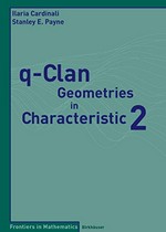 q-Clan Geometries in Characteristic 2