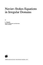 Navier—Stokes Equations in Irregular Domains