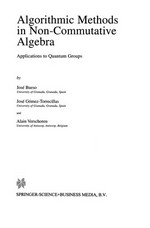 Algorithmic Methods in Non-Commutative Algebra: Applications to Quantum Groups 