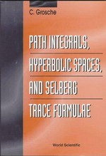 Path intergals, hyperbolic spaces, and Selberg trace formulae